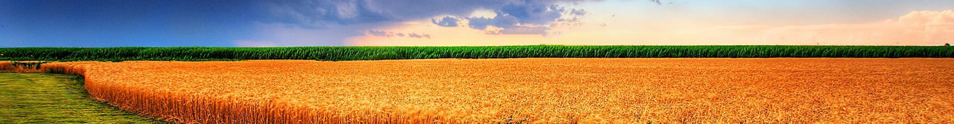 rewarding work connects to care in Kansas KS find worker help support