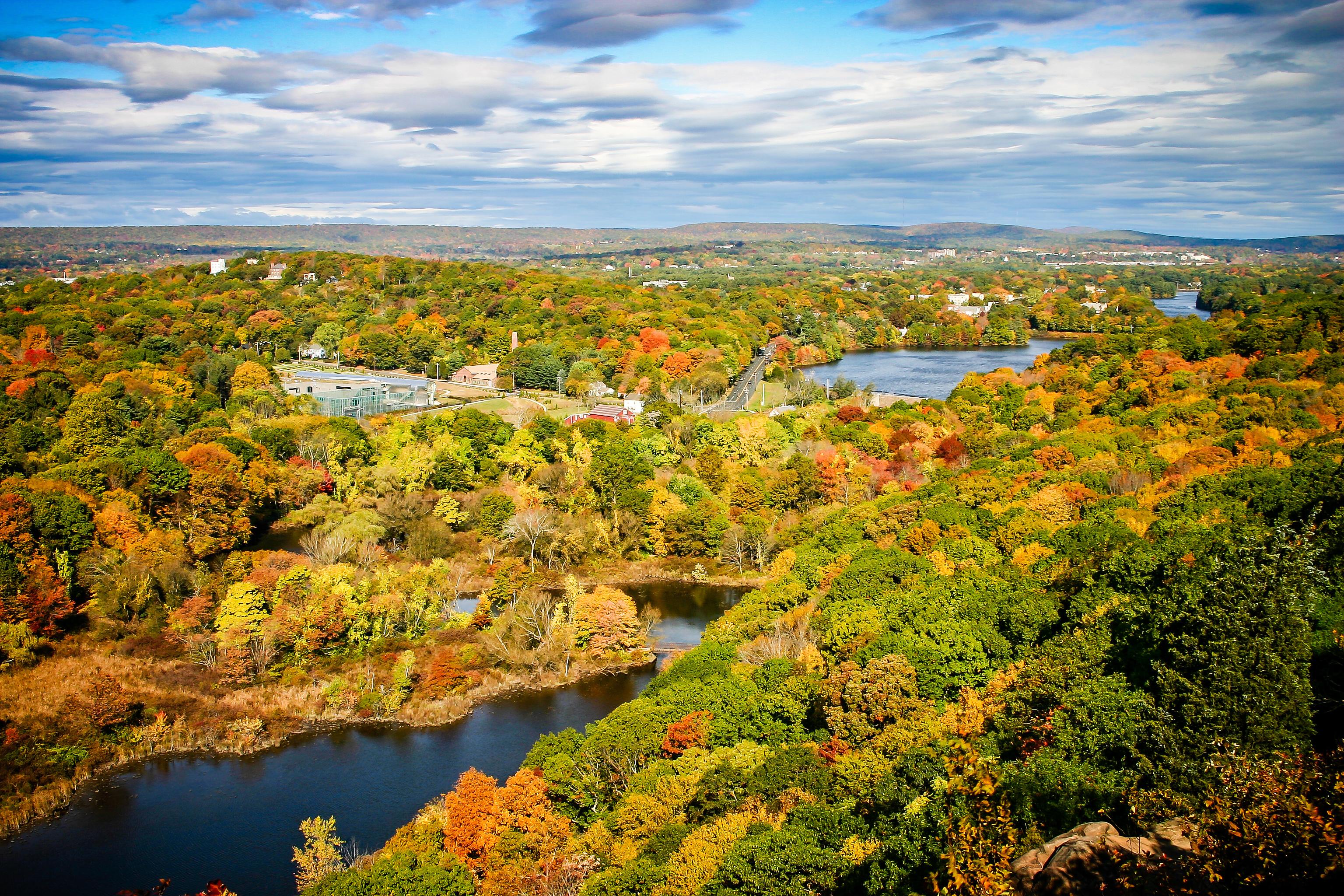aerial view of a river and trees