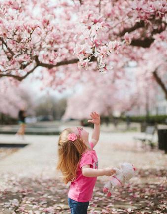 Girl and pink tree